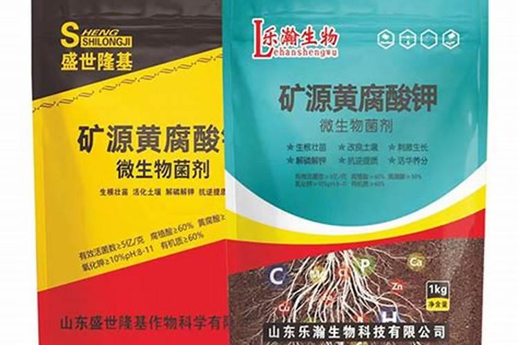 大拱棚黄爪病虫管理