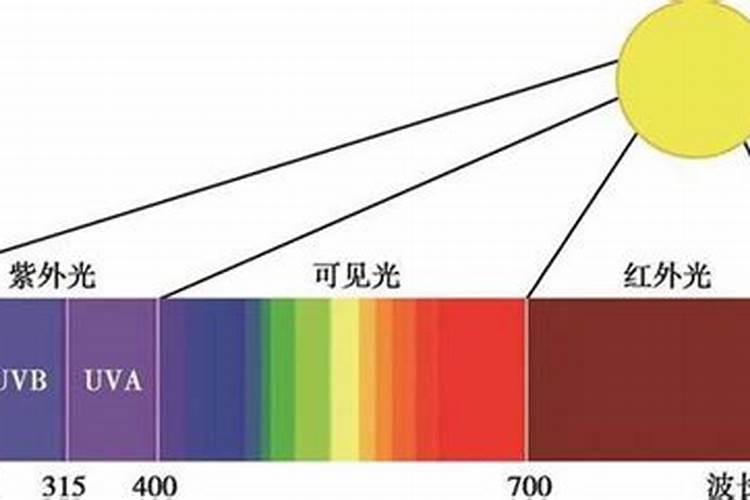雨天虾塘能补钙吗