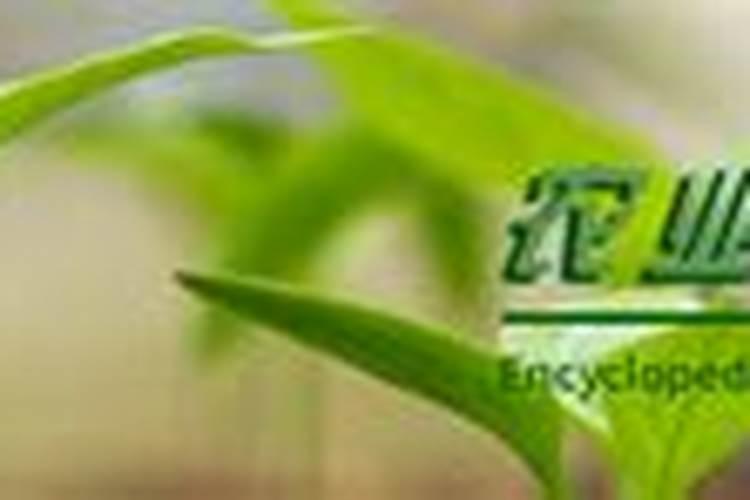 华胜天成什么时候复牌