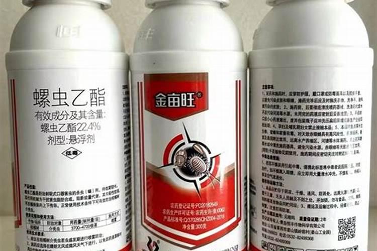 大蒜喷什么叶面肥好!防病毒用啥