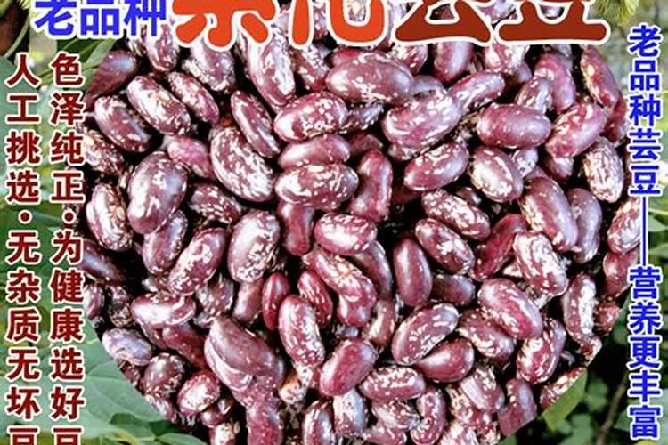 芸豆盛花期能打药吗？