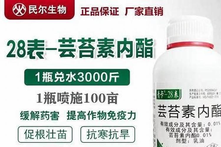 微量元素肥料有哪些