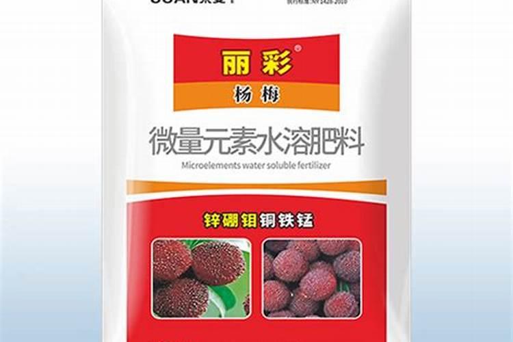 杨梅施肥时间,杨梅施什么肥好