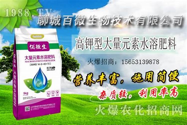 化学肥料的环境污染