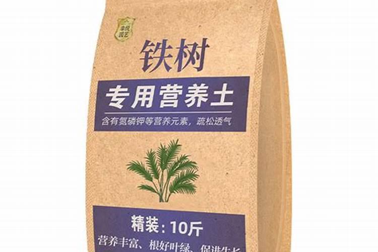 铁树的养殖方法