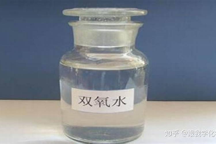 龙血树切下来一断怎样水养生根
