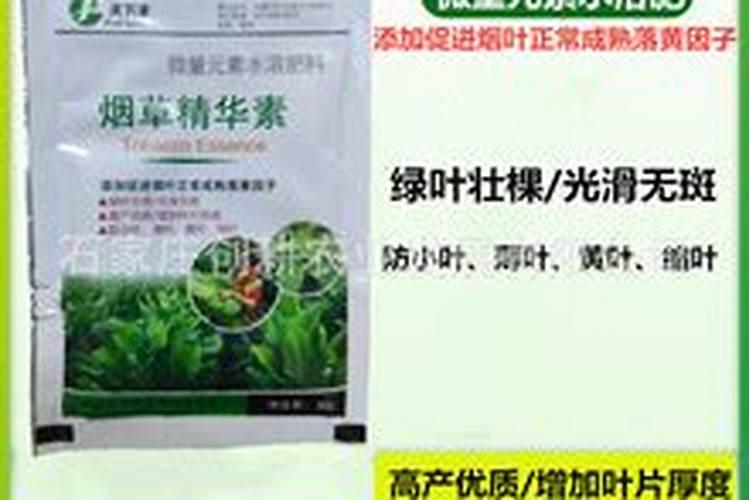 烟草打什么药好