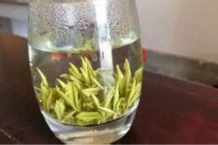 喷茶叶用什么海藻叶面肥