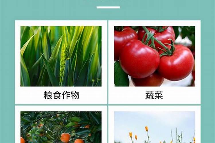 买钼肥和硼肥这两样从网上买能买得到吗？