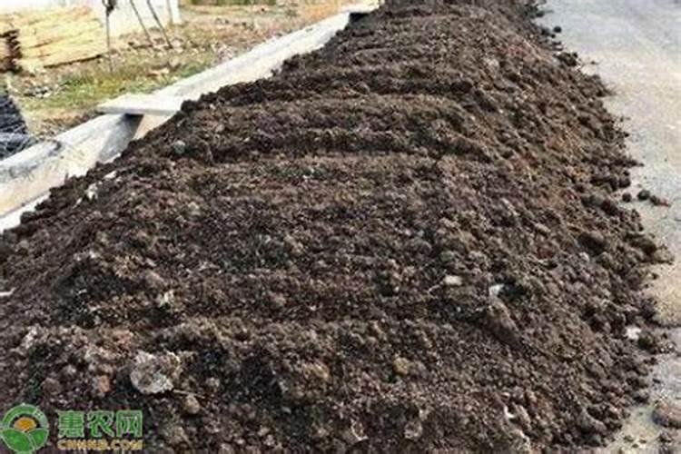 什么肥料可以让植物快速生长  长苗最快又不伤苗用什么肥料