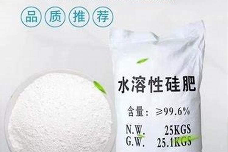 多肉适合什么肥料 多肉最好的肥料