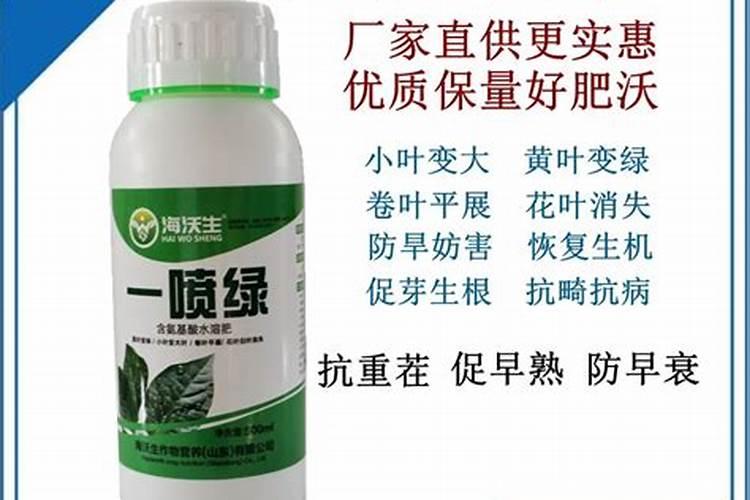 玉米苗发黄打什么叶面肥