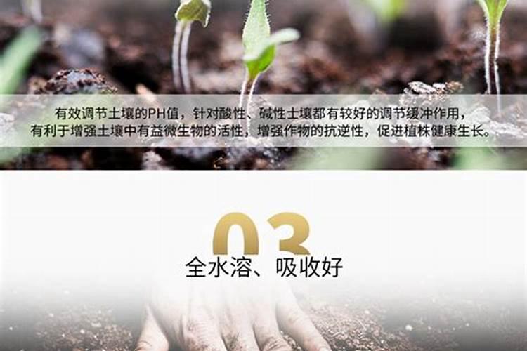 亲土一号水溶肥喷完遇雨还有效果吗？