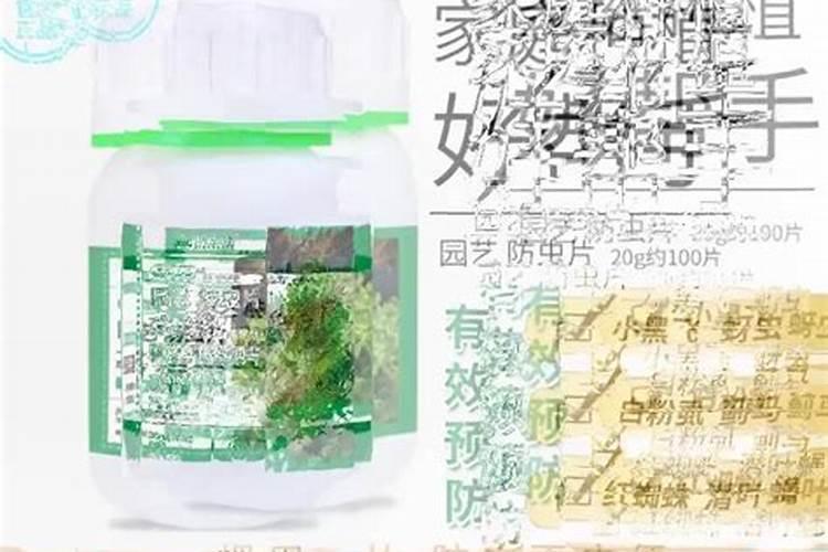 糖化硼肥片真能防虫吗