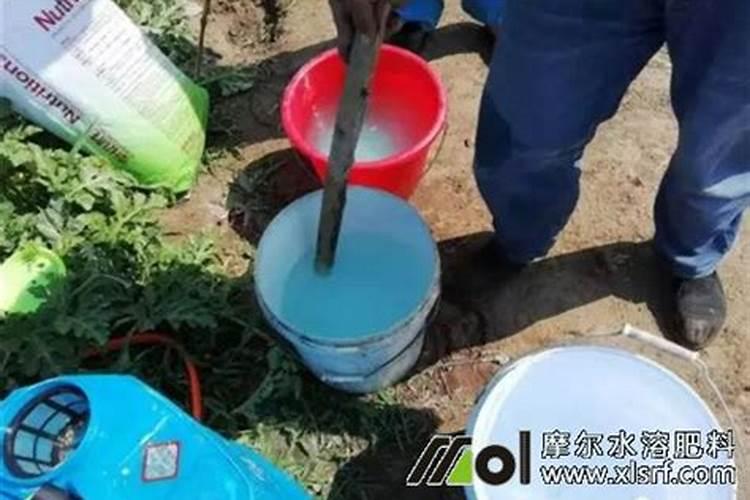 水溶肥需要浇透吗