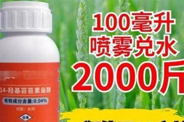 天然芸苔素内酯如何选择芸苔素内酯(供企业参考)