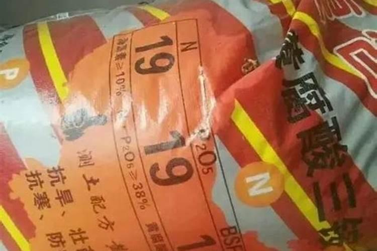 荷花怎样种植