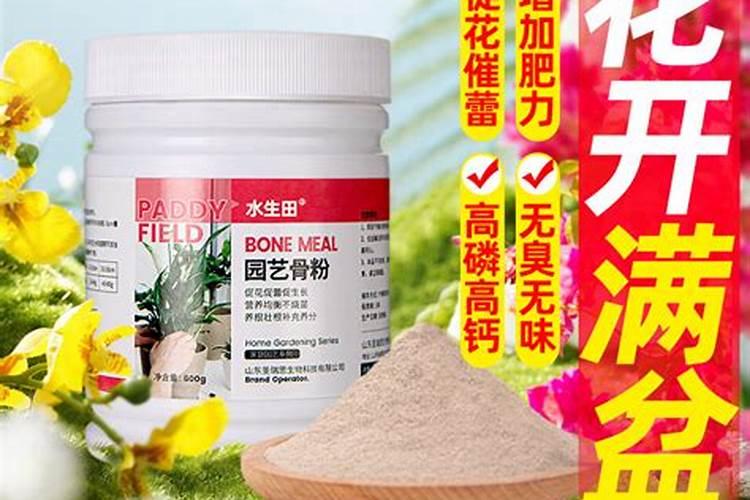 骨粉的正确施肥方法