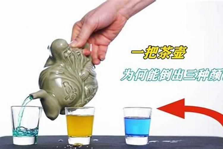 鱼胶是鱼的哪个部位