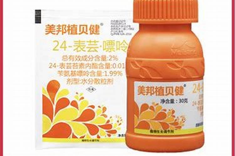 苹果树一年的管理方法