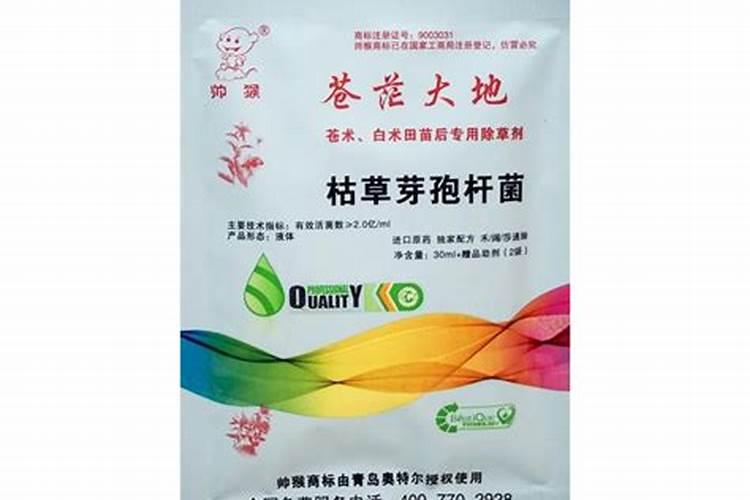 二四滴异辛酯除草剂能打苍术吗？