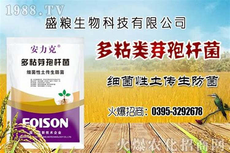 请问各位老师,白菜,瓢儿菜,菜心等蔬菜,要用什么叶面肥,什么药治虫,治...