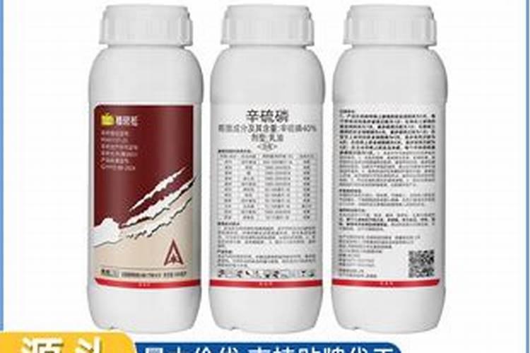 玉米打什么叶面肥最好