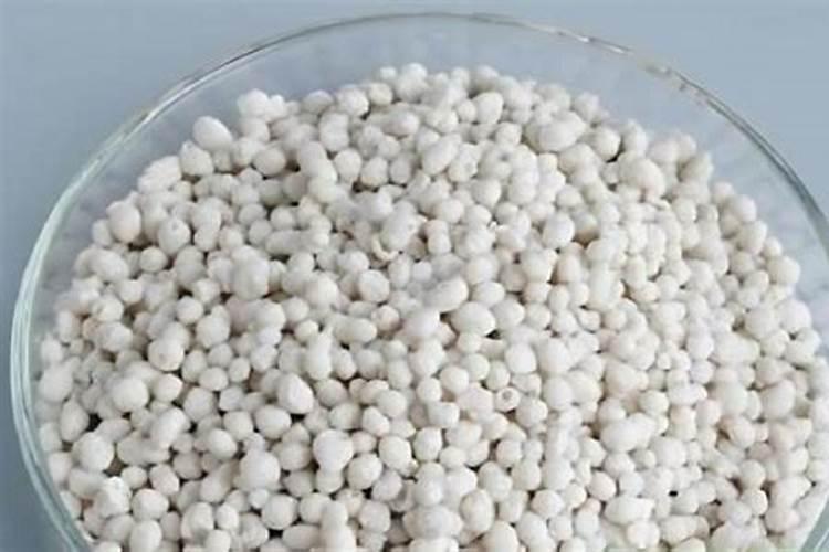 种植四季豆提高产量的施肥技巧有哪些