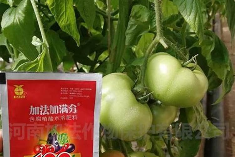 葡萄三农阳光玫瑰严重黄化用什么方法解决？