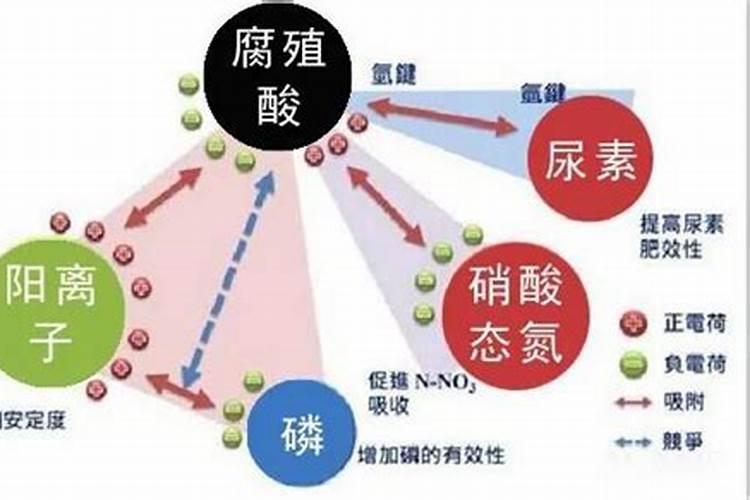 如何给水草缸施肥？