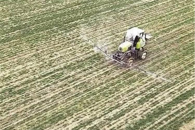 水溶肥硅肥用多少克