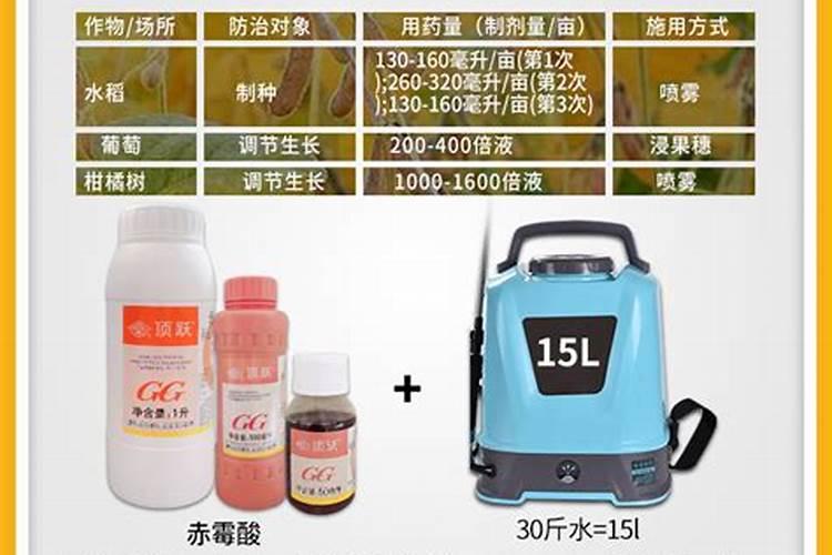 葡萄座果不好什么原因