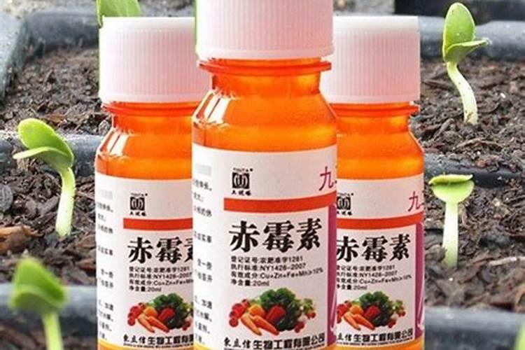 葡萄频繁出现大小粒现象,到底是怎么回事