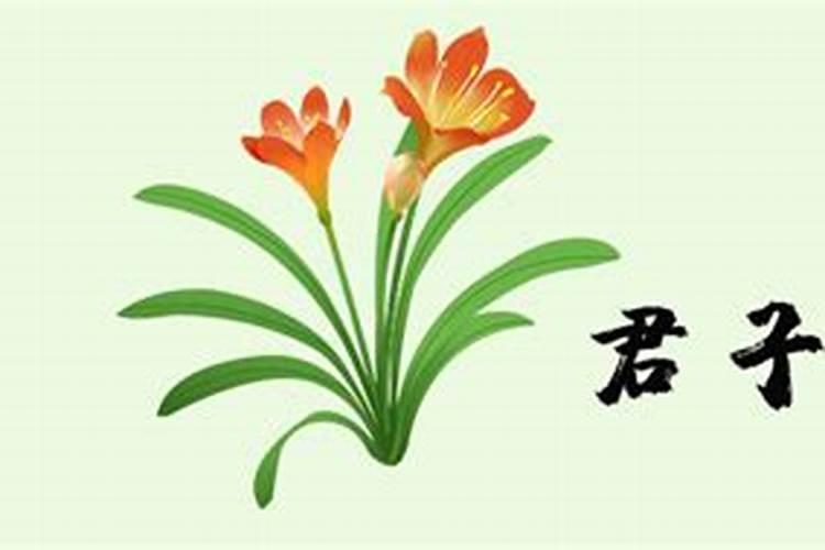 给花施肥什么时间好 什么时间给花施肥好呢