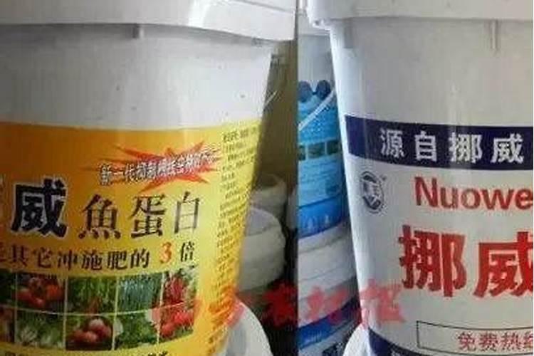 秋水仙碱诱变兰花原理怎么样才能兰花变艺？