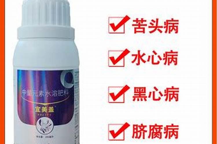水培绿萝营养液怎么浇