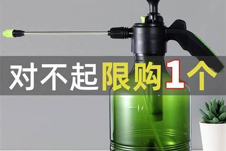 板栗园如何施用硼肥？