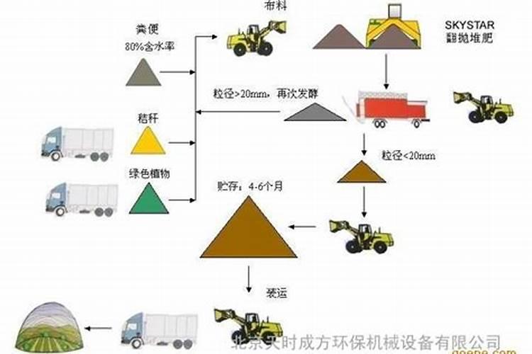 硅元素都有哪些作用