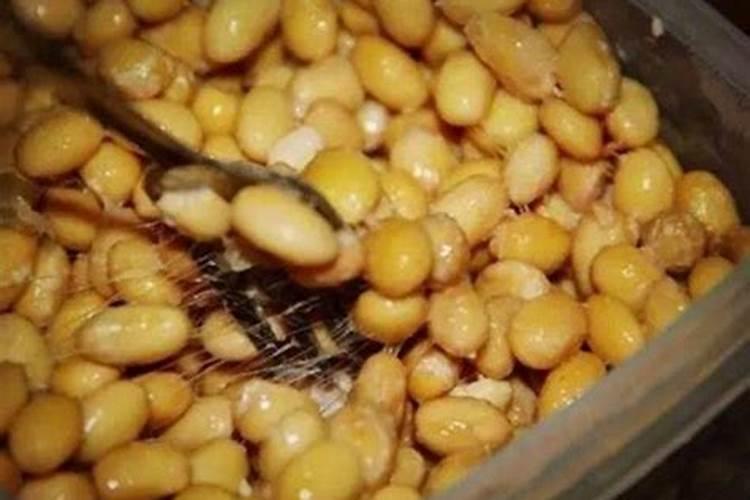 黄豆做肥料注意的事项