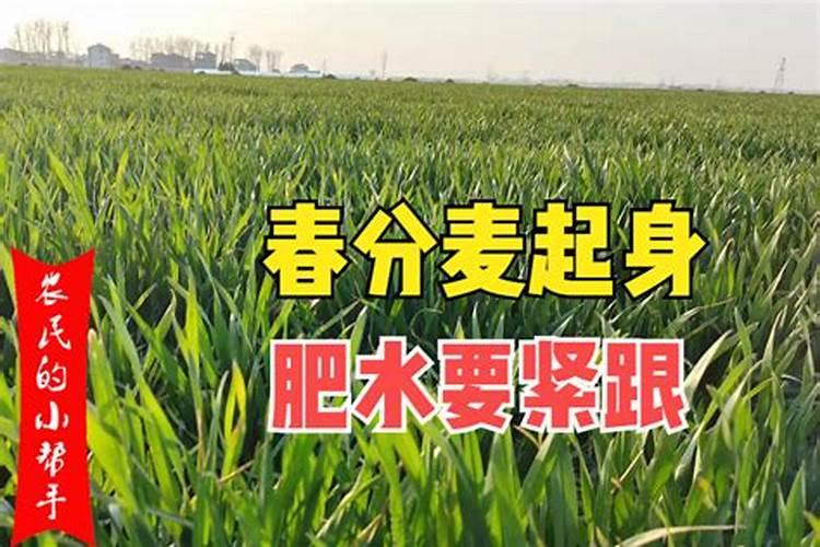 春分节气的农事活动及养生原则