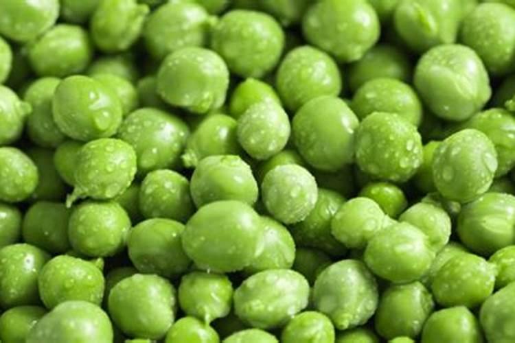 青豆壳咋样做肥料