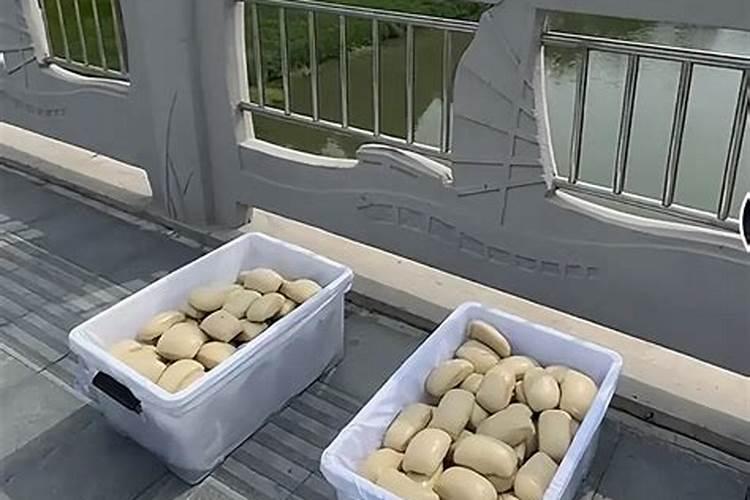 馒头可以做肥料吗