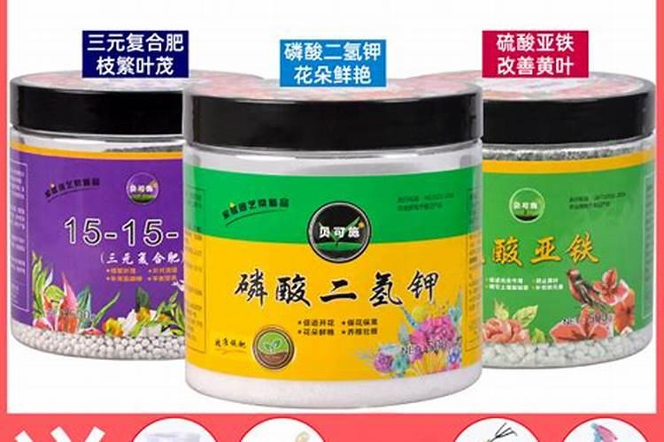 磷酸二氢钾适合哪些花