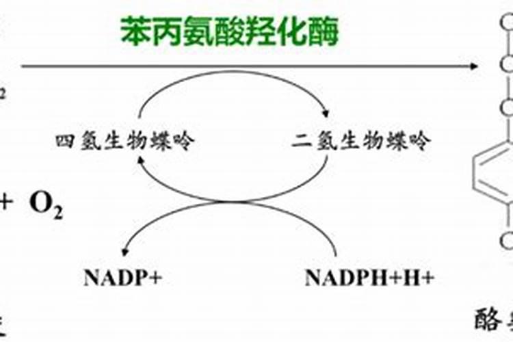 怎么才能让果实膨果上色好？