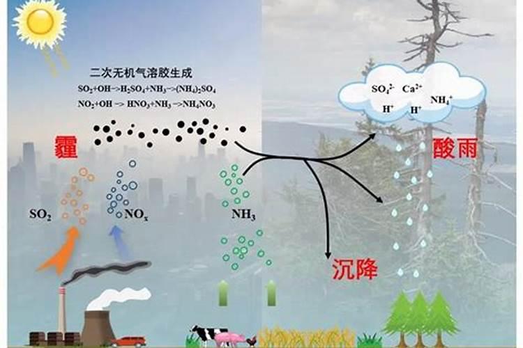 氨气是氮肥吗