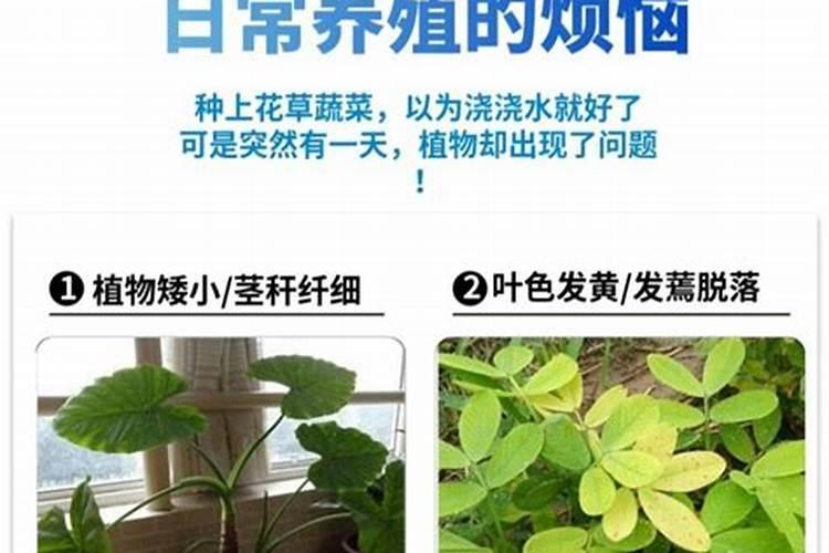 鱼蛋白使用注意事项