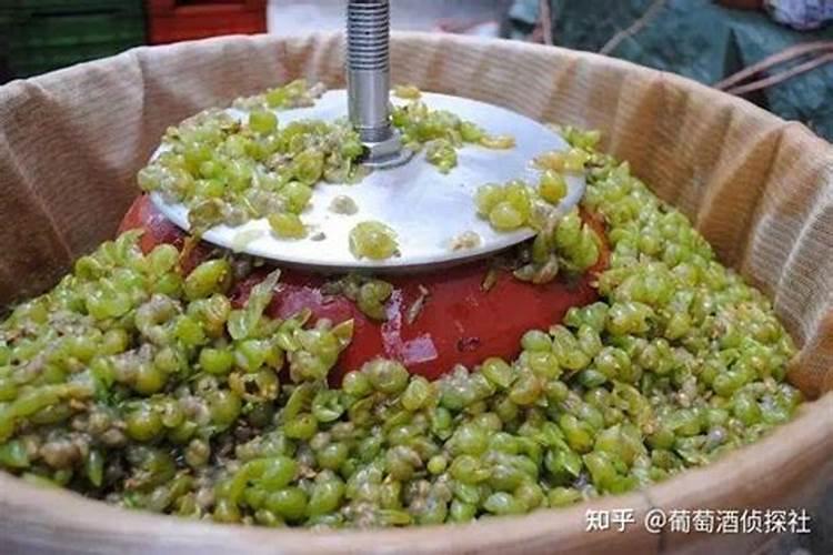 大白菜怎么追肥