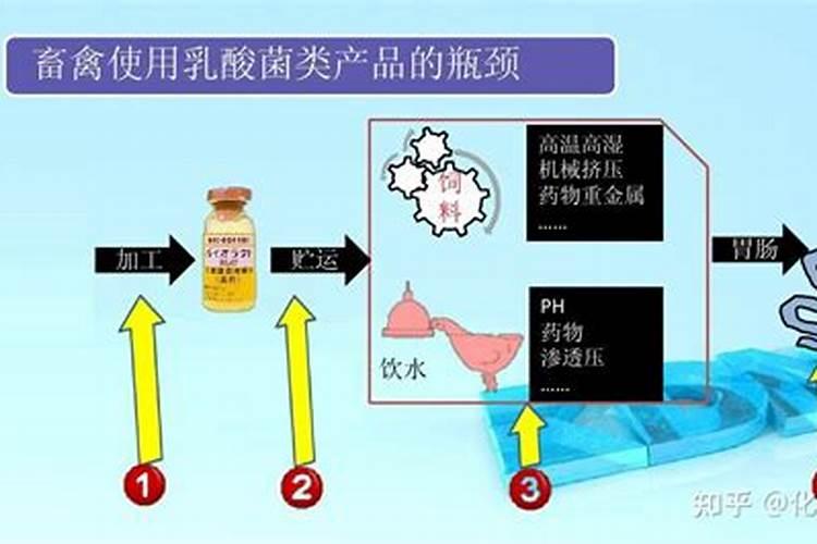 水稻红叶病怎么治