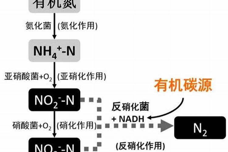 常见的氮肥 常见的氮肥有哪些