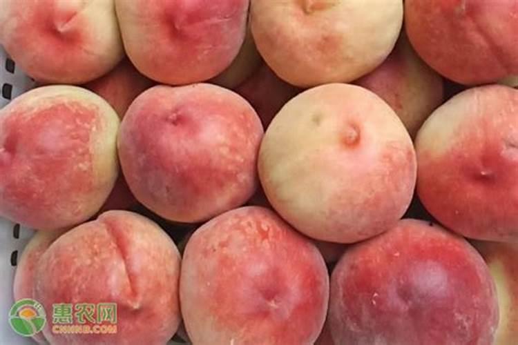 桃树施什么肥料桃子甜 如何施肥效果好